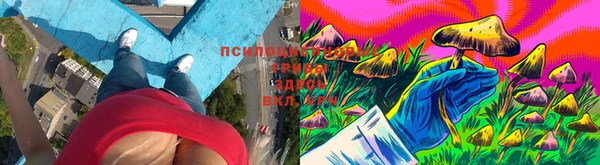 трава Баксан